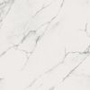 calacatta marble white polished 798x798