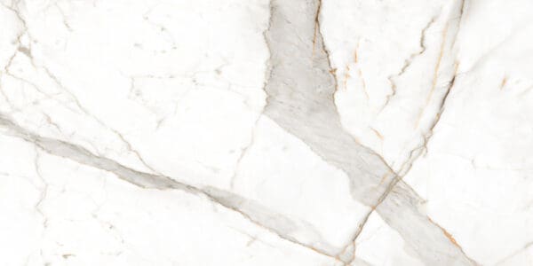 ANTIQUE STATUARIO1254 R5 scaled