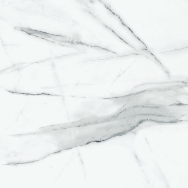 calacatta silver ft 60x60 1