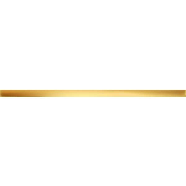 WALL STRIP GOLD GLOSSY 59,8x2,3